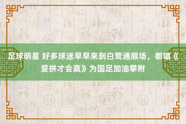 足球明星 好多球迷早早来到白鹭通顺场，都唱《爱拼才会赢》为国足加油攀附