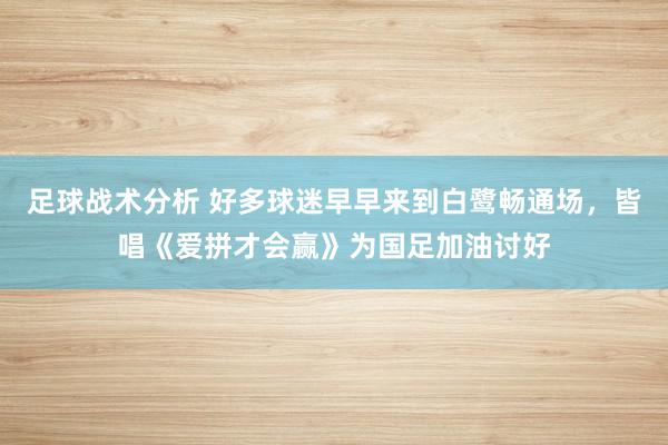 足球战术分析 好多球迷早早来到白鹭畅通场，皆唱《爱拼才会赢》为国足加油讨好