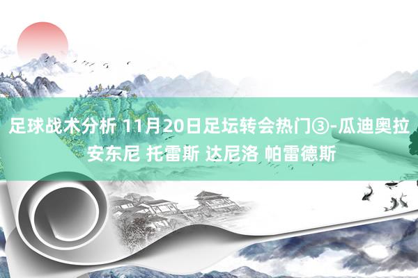 足球战术分析 11月20日足坛转会热门③-瓜迪奥拉 安东尼 托雷斯 达尼洛 帕雷德斯