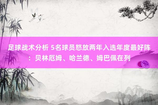 足球战术分析 5名球员怒放两年入选年度最好阵：贝林厄姆、哈兰德、姆巴佩在列