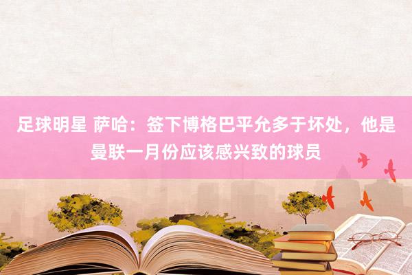 足球明星 萨哈：签下博格巴平允多于坏处，他是曼联一月份应该感兴致的球员