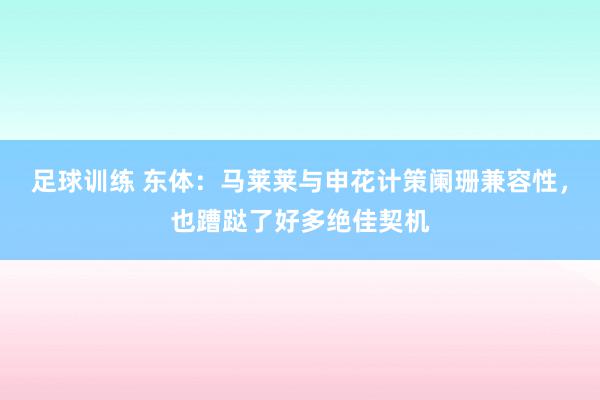 足球训练 东体：马莱莱与申花计策阑珊兼容性，也蹧跶了好多绝佳契机